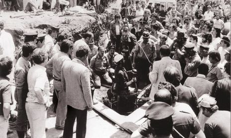 vermicino001-1000x600