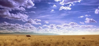 303_9.02.39_sm-640x302