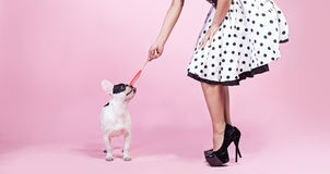 pinup-woman-pug-dog-fashionable-s-legs-cute-pink-background-53348401