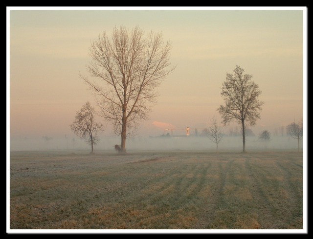 nebbia.jpg
