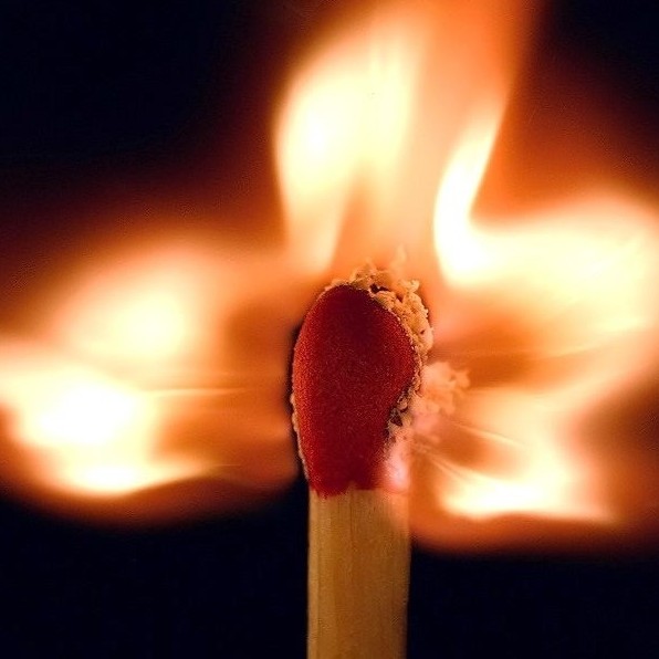 443EEA9A-D9EE-42FB-A128-999F87679E25