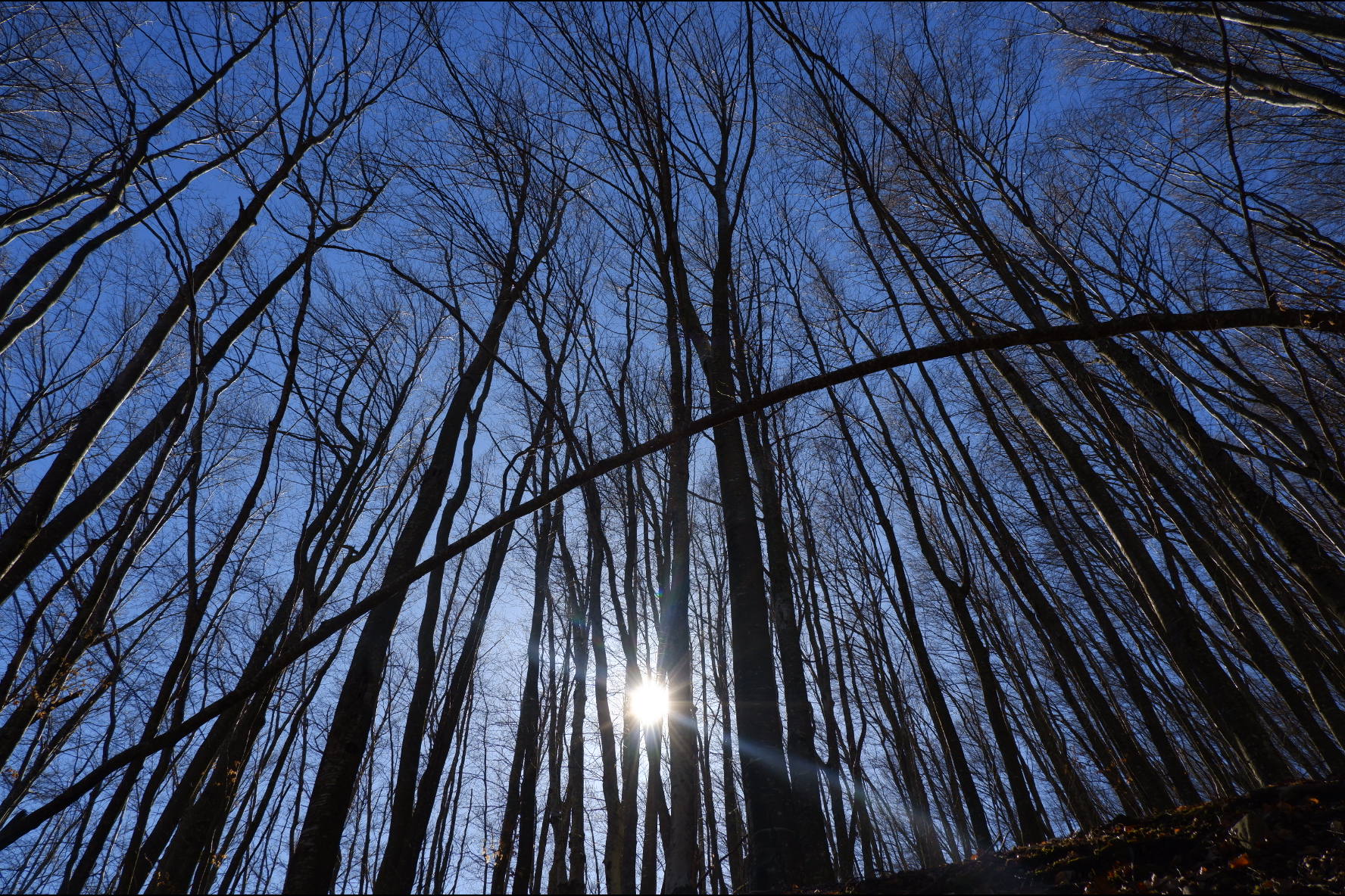 C3D36E26-D302-4BE1-9248-F73335E30D3B